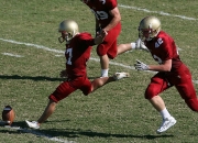 爱游戏体育官网-卡拉斯科一剑封喉，荷兰战术碾压加纳展现冠军相