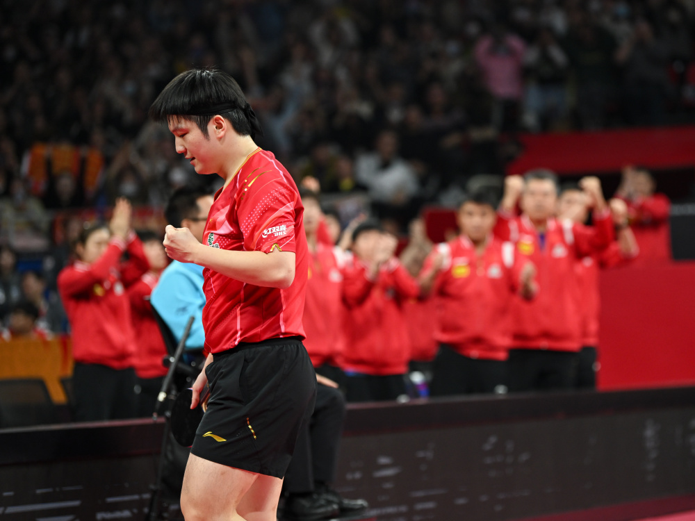 法国队险胜中国队，樊振东点燃赛场