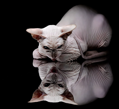 浓眉彻底打爆防线,老鹰速胜国王,一场攻防失衡的战术解析