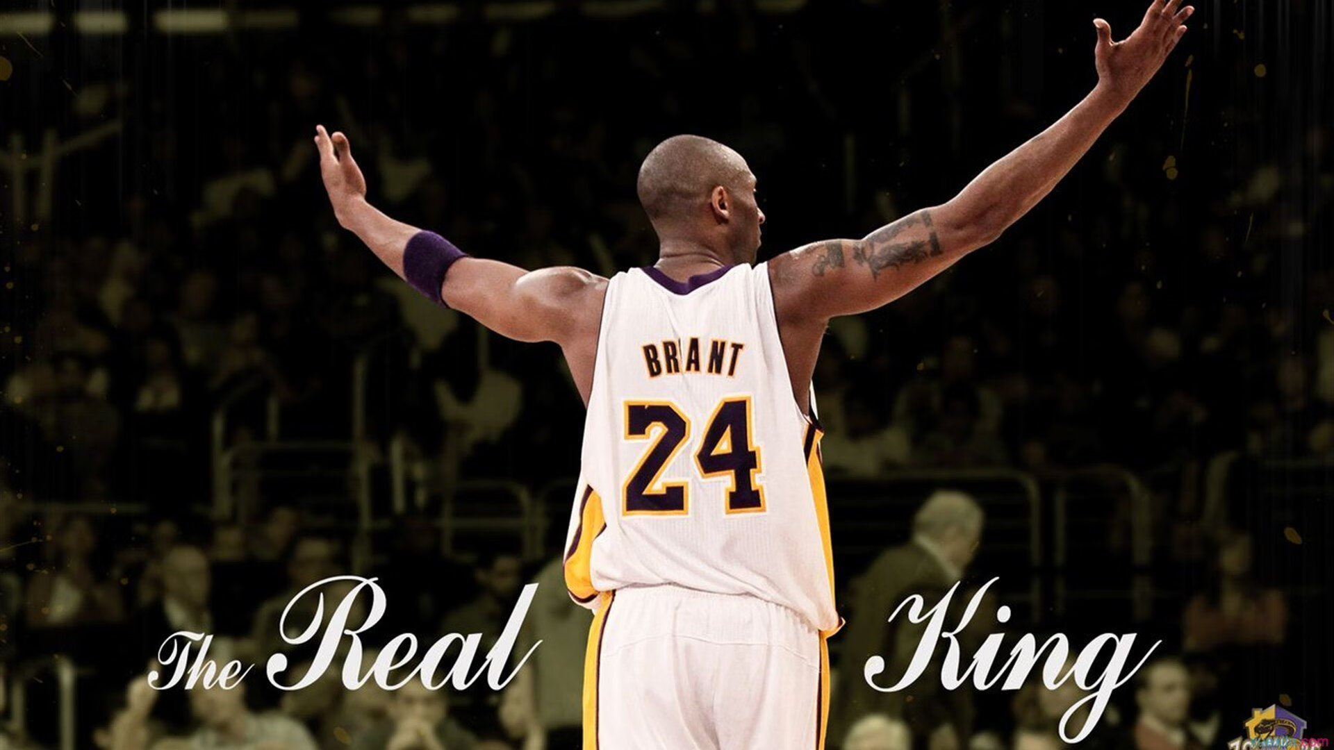 冰与火之歌,西亚卡姆攻防统治,吉林血性鏖战费城